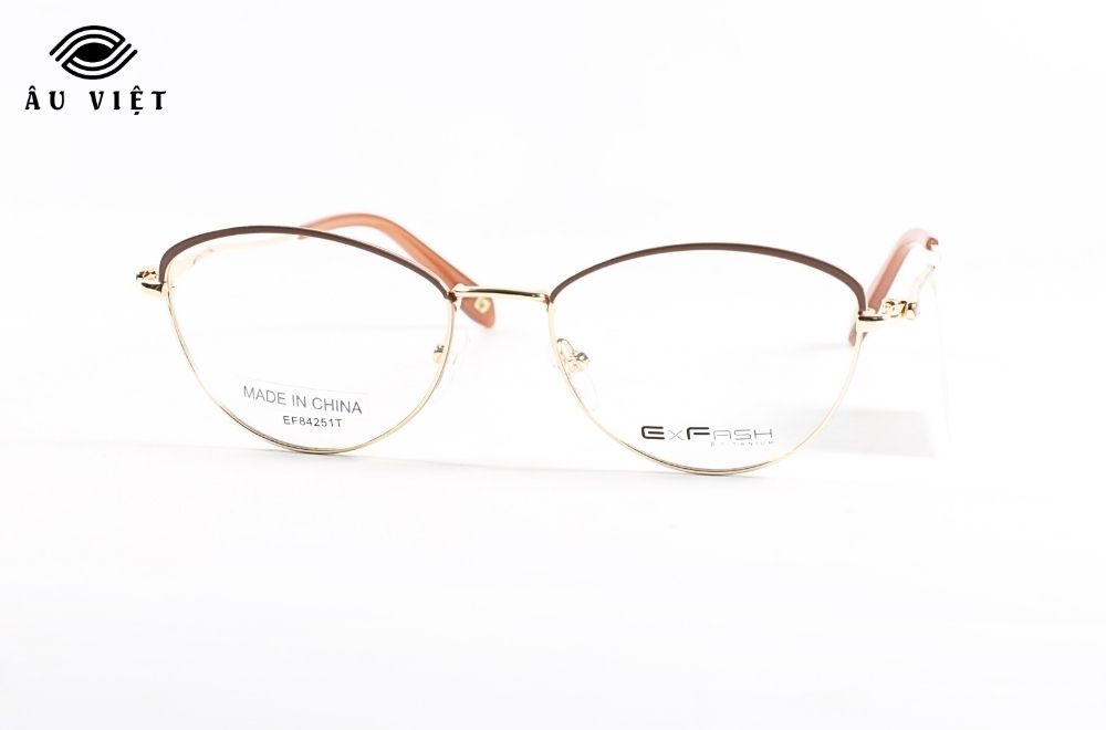Gọng kính EXFASH EF84251T_973_52