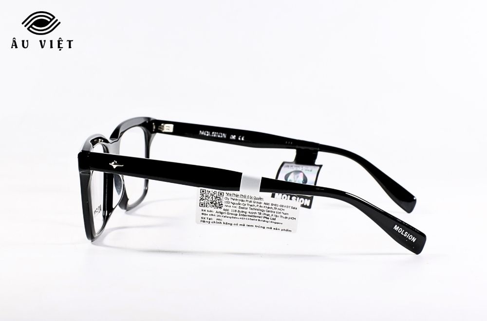 Gong kinh MOLSION MJ3119 B10.C 3 1