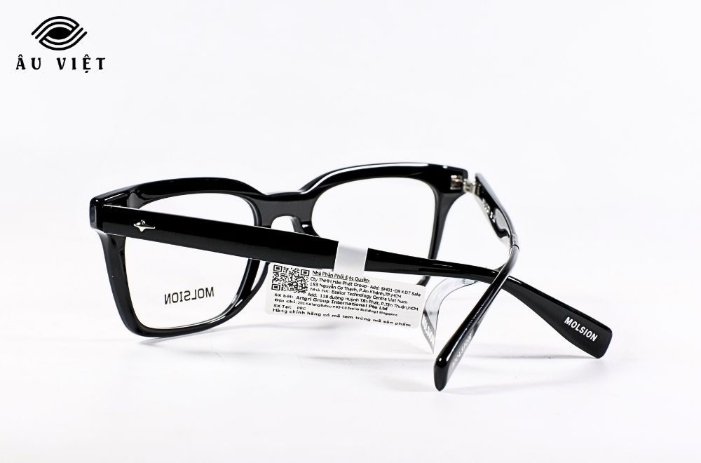 Gong kinh MOLSION MJ3119 B10.C 4 1