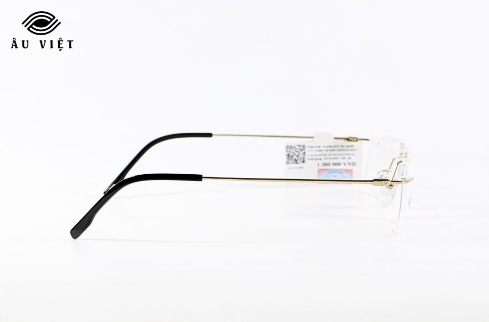 Gọng kính EXFASH EF32298T