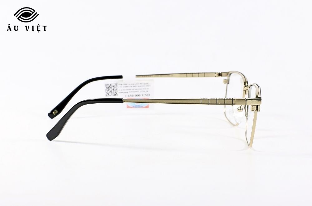 Gọng kính EXFASH EF33295T