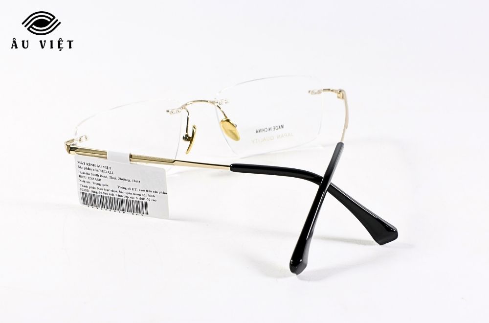 Gọng kính EXFASH EF34249JP