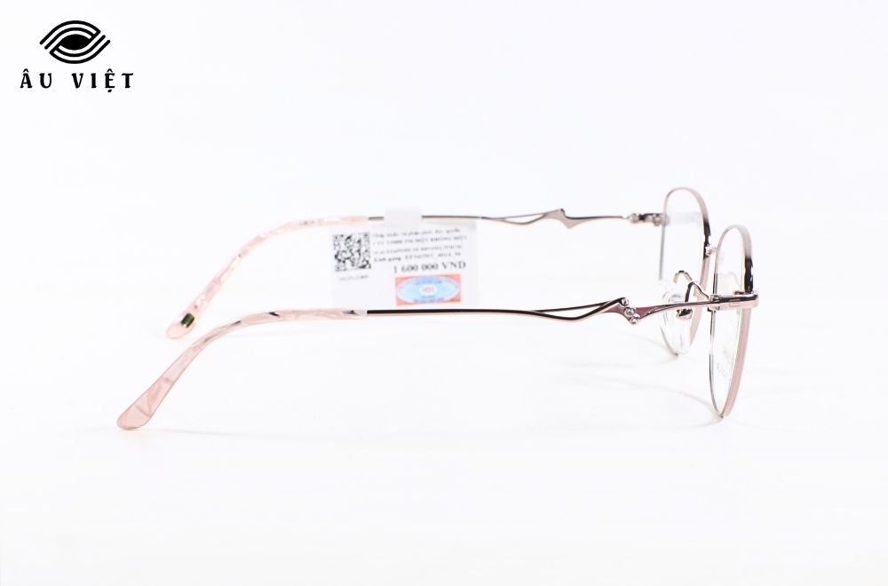 Gọng kính EXFASH EF34250T