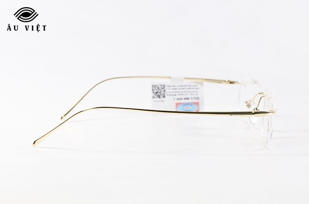 Gọng kính EXFASH EF83213T