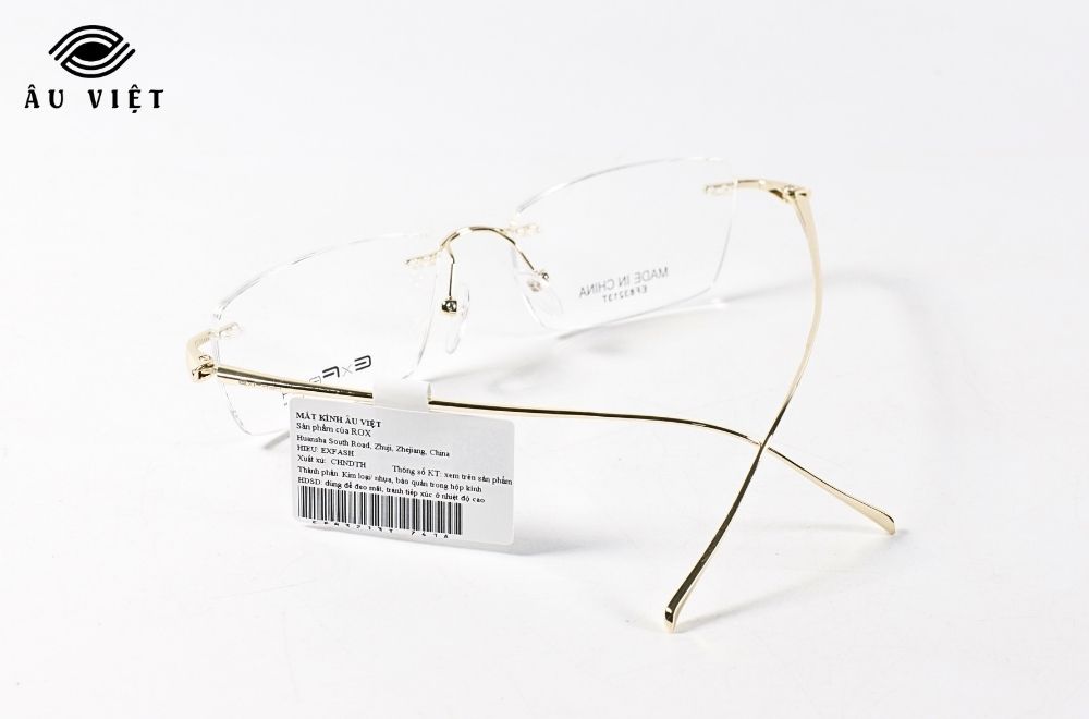 Gọng kính EXFASH EF83213T