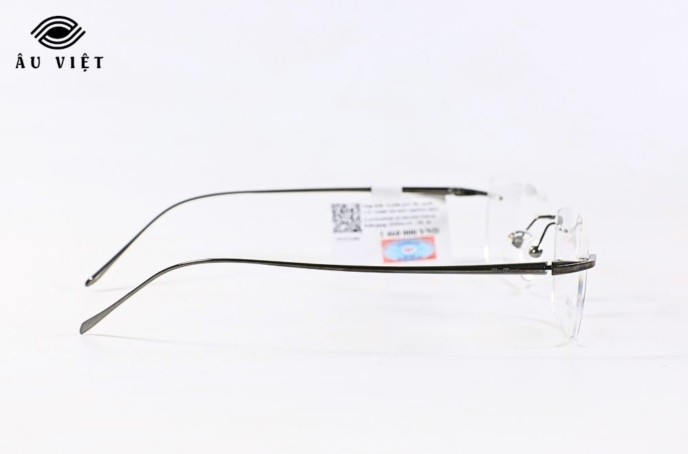 Gọng kính EXFASH EF83213T