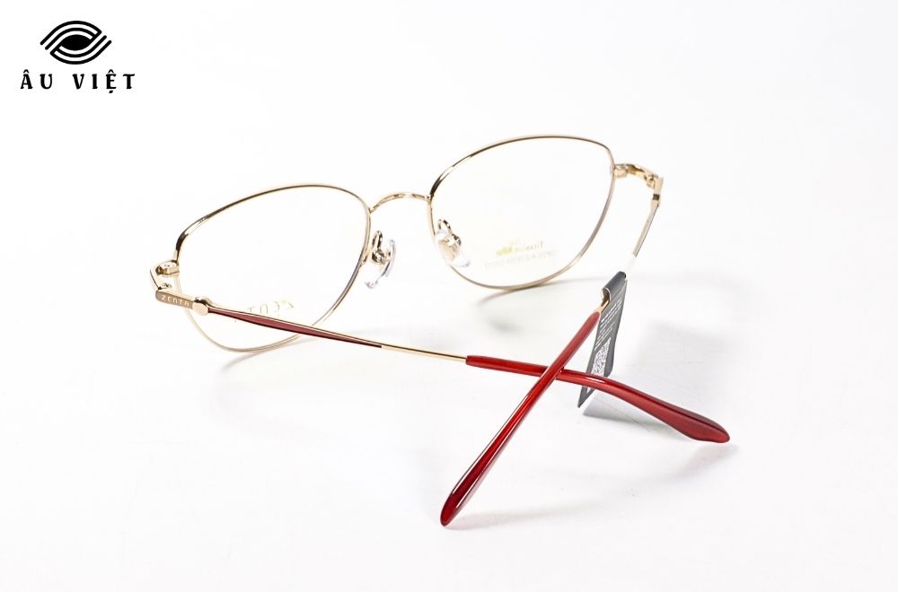 Gọng kính ZENTA DP25_A_ZT8168