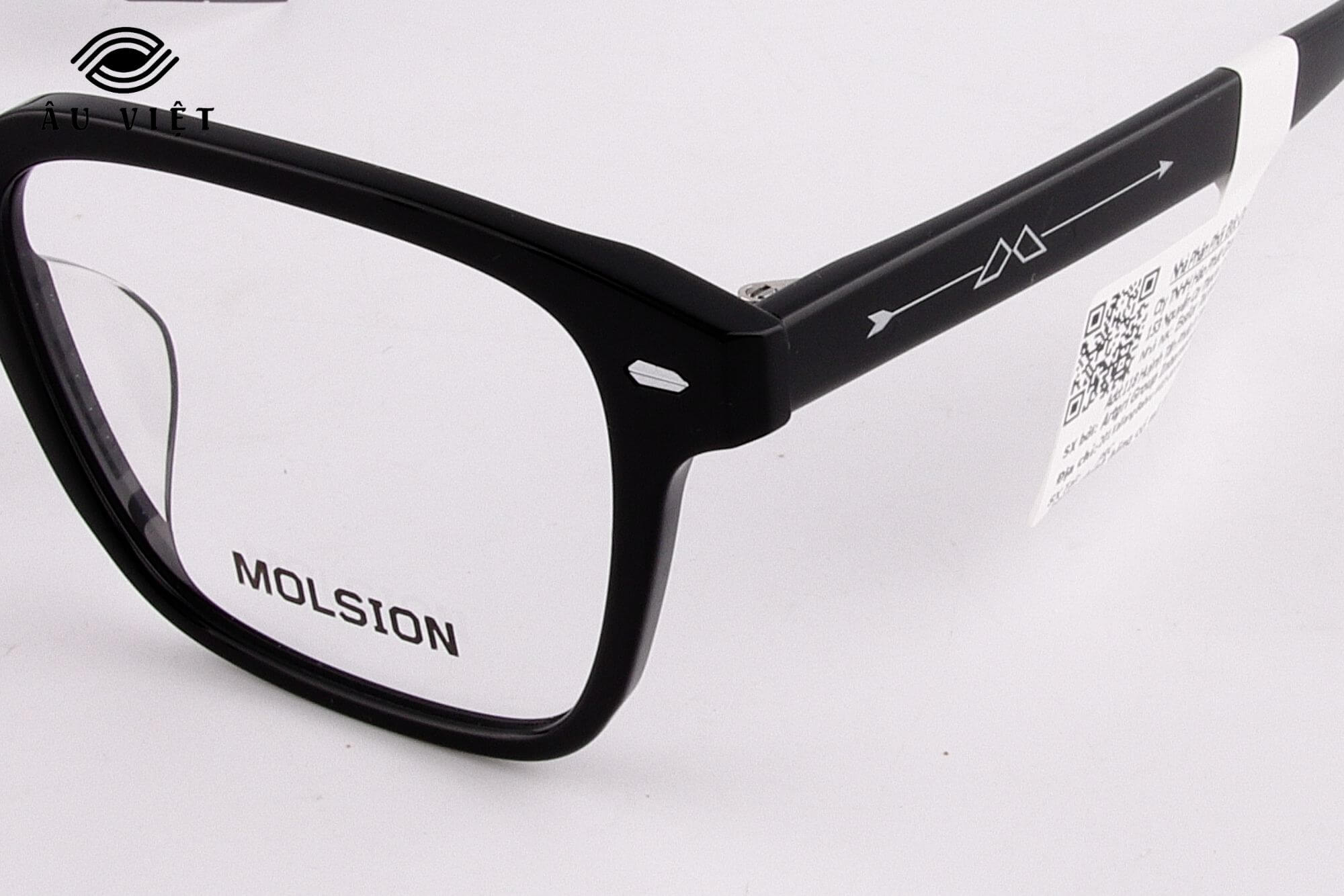 Gọng kính nhựa unisex MOLSION MJ3070_B10